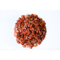 Hot Sell Red Melon Seeds In Shell Color Sorter